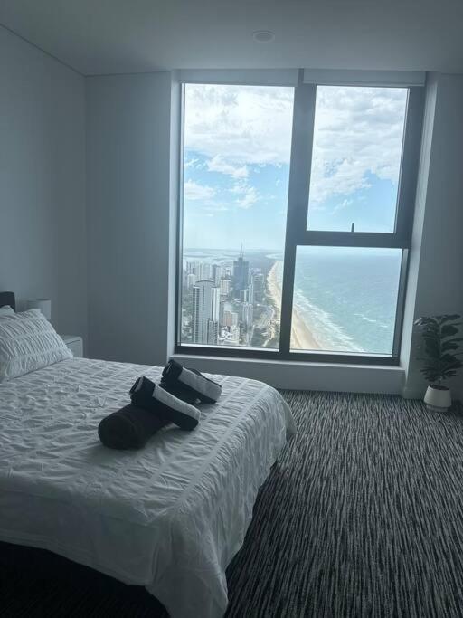 Ocean Surfers Paradise *