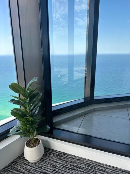Ocean Surfers Paradise